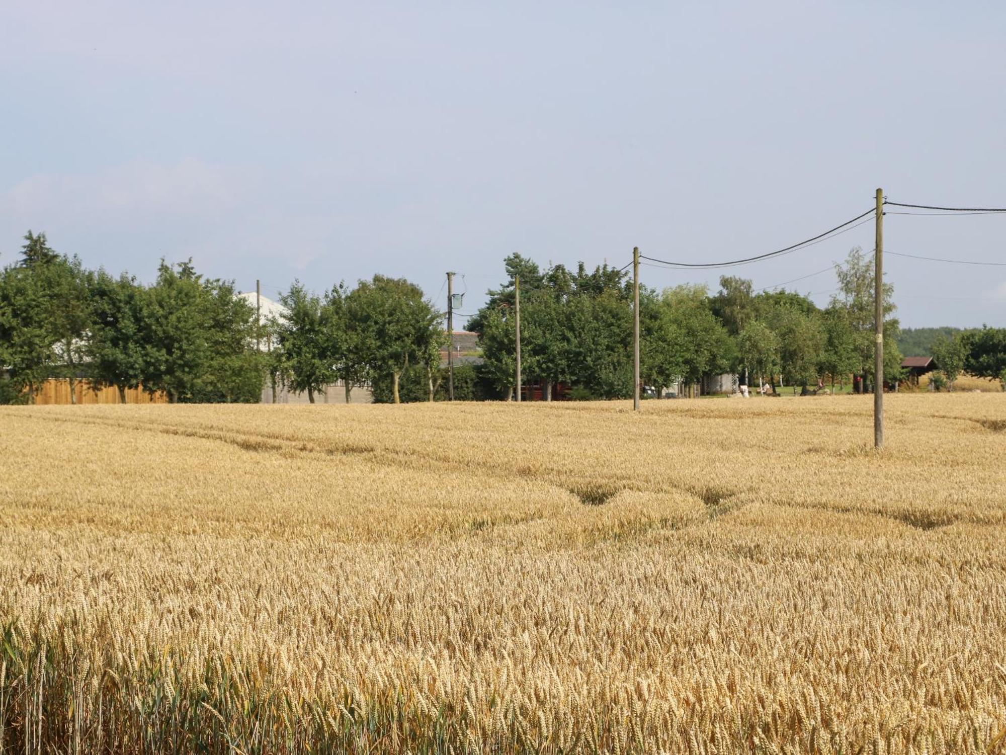 Villa Cornfield Northallerton Esterno foto