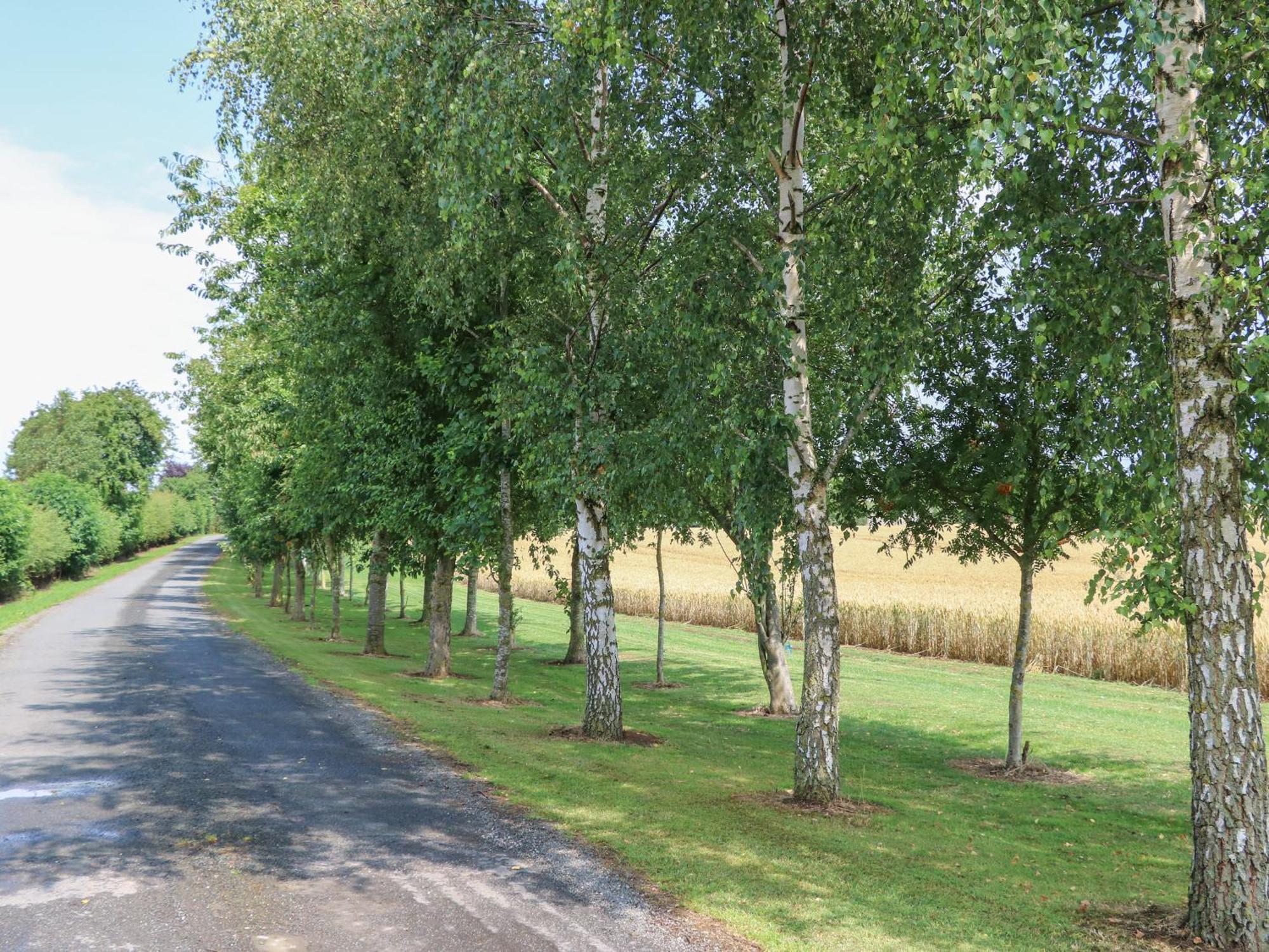 Villa Cornfield Northallerton Esterno foto